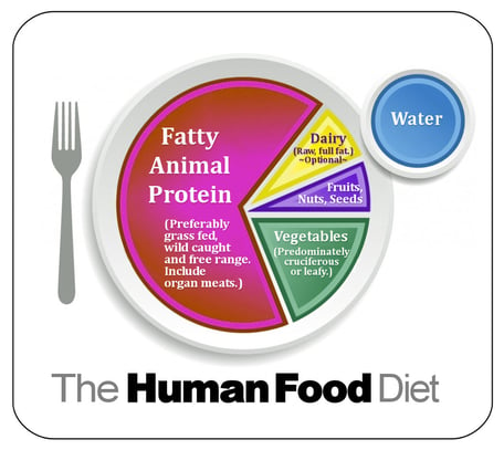 The Human Food Diet Plate