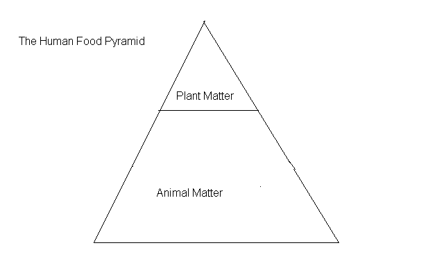 Human Food Pyramid
